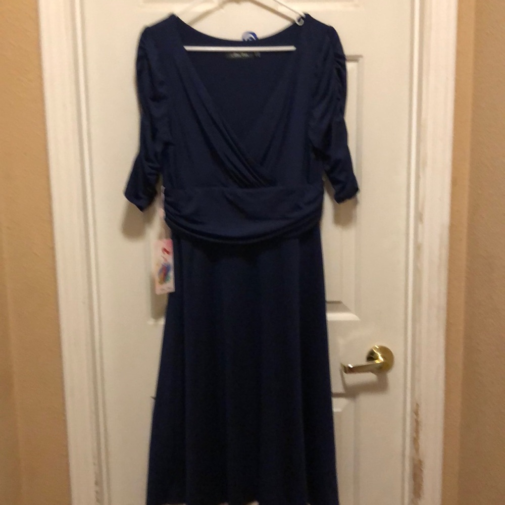 Alisa pan navy blue dress with tags